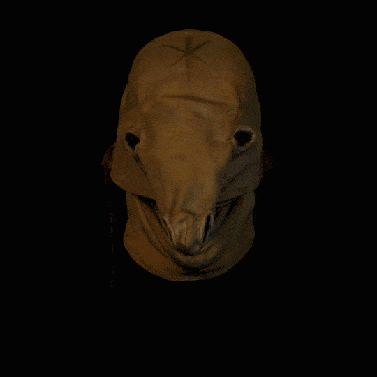 Digital Masks Image